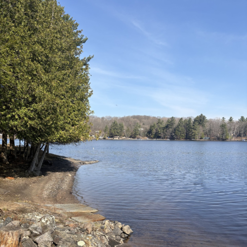Mill Lake - square